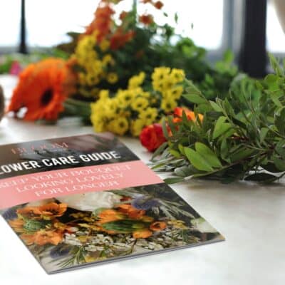 Saddle Stitched Books